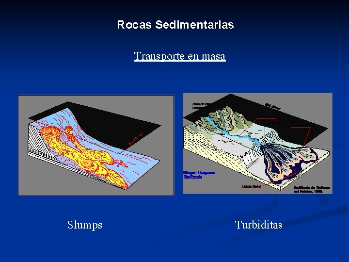 Rocas Sedimentarias Transporte en masa Slumps Turbiditas 