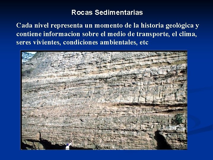 Rocas Sedimentarias Cada nivel representa un momento de la historia geológica y contiene informacion