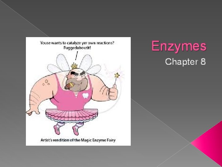Enzymes Chapter 8 
