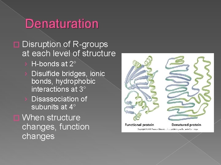 Denaturation � Disruption of R-groups at each level of structure › H-bonds at 2°