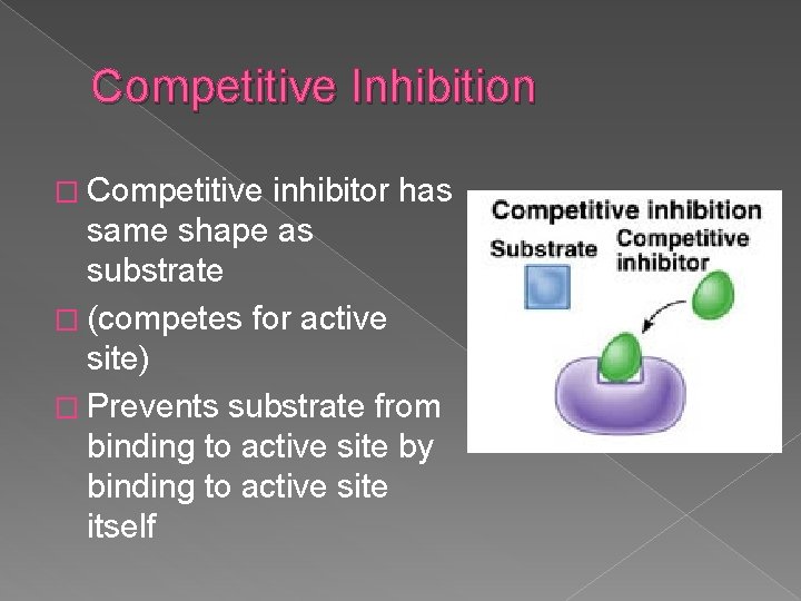 Competitive Inhibition � Competitive inhibitor has same shape as substrate � (competes for active