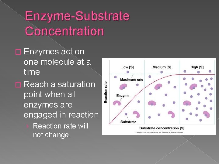 Enzyme-Substrate Concentration Enzymes act on one molecule at a time � Reach a saturation