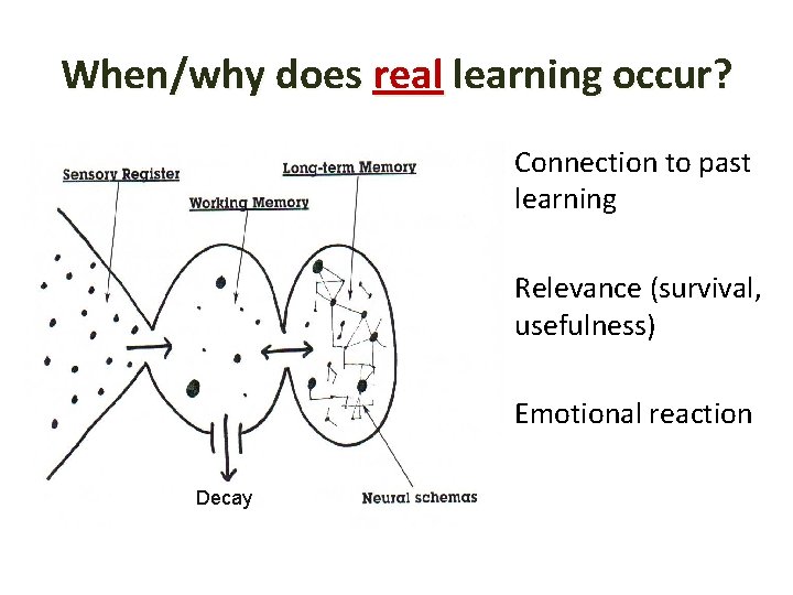 When/why does real learning occur? • Picture Connection to past learning Relevance (survival, usefulness)