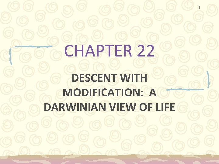 1 CHAPTER 22 DESCENT WITH MODIFICATION: A DARWINIAN VIEW OF LIFE 