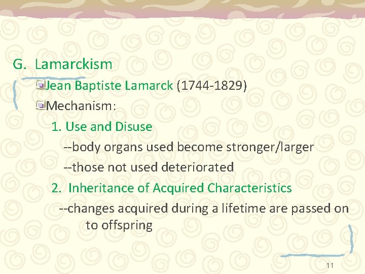 G. Lamarckism Jean Baptiste Lamarck (1744 -1829) Mechanism: 1. Use and Disuse --body organs