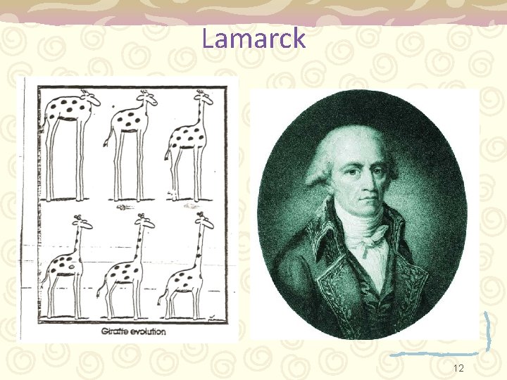 Lamarck 12 