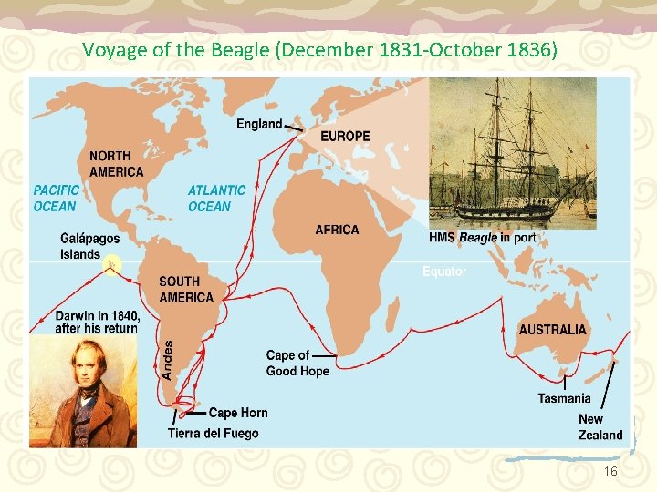 Voyage of the Beagle (December 1831 -October 1836) 16 