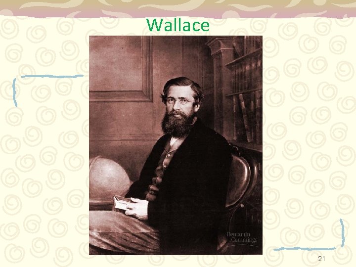 Wallace 21 