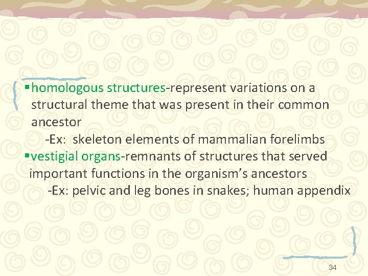 §homologous structures-represent variations on a structural theme that was present in their common ancestor