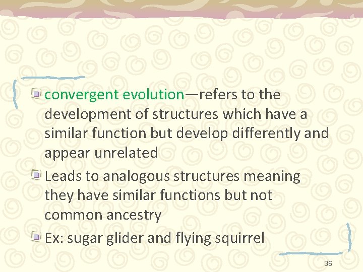 convergent evolution—refers to the development of structures which have a similar function but develop