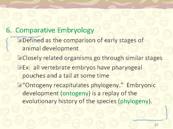 6. Comparative Embryology Defined as the comparison of early stages of animal development Closely