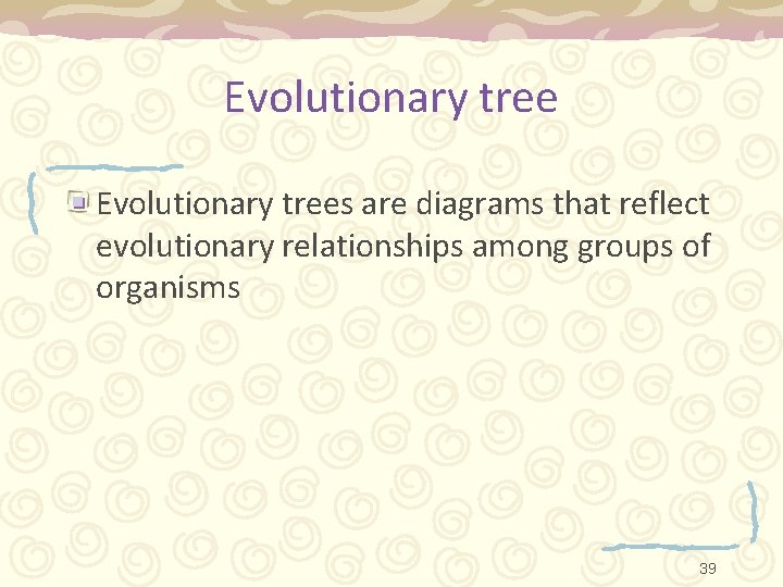 Evolutionary trees are diagrams that reflect evolutionary relationships among groups of organisms 39 