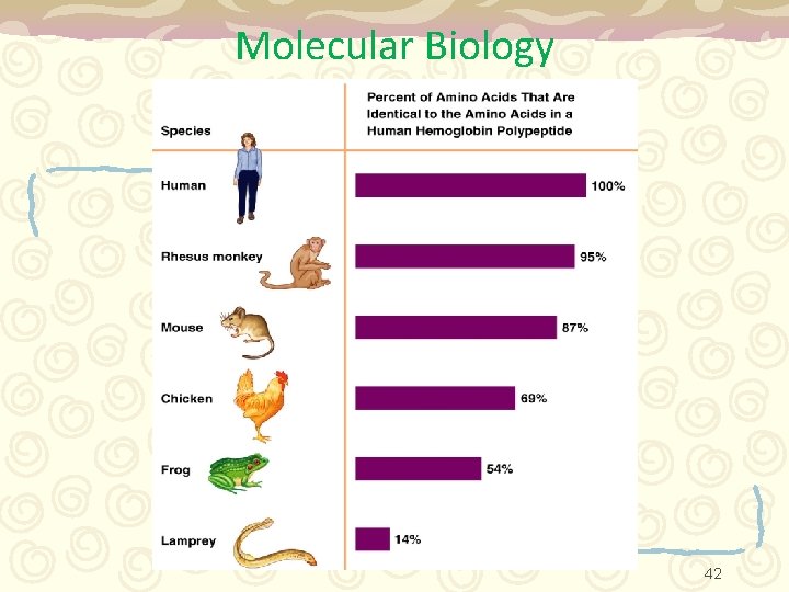 Molecular Biology 42 