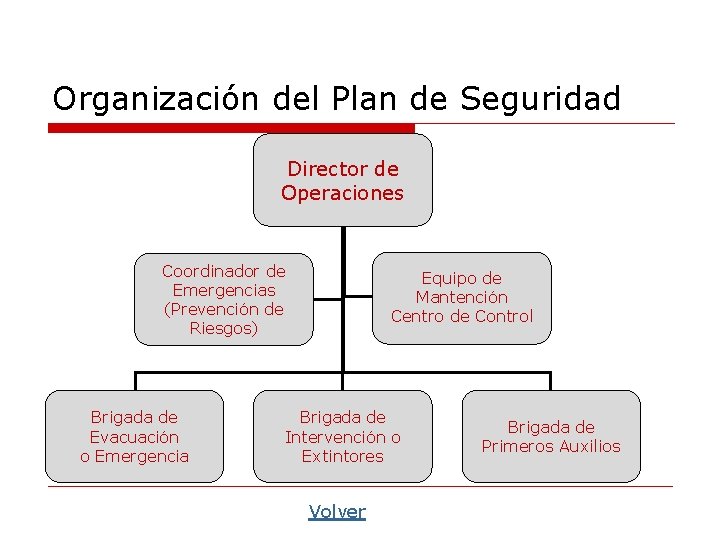 Organización del Plan de Seguridad Director de Operaciones Coordinador de Emergencias (Prevención de Riesgos)