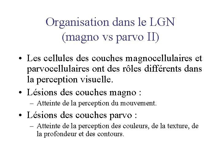 Organisation dans le LGN (magno vs parvo II) • Les cellules des couches magnocellulaires