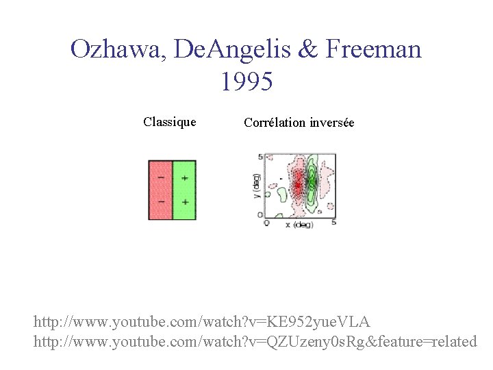 Ozhawa, De. Angelis & Freeman 1995 Classique Corrélation inversée http: //www. youtube. com/watch? v=KE