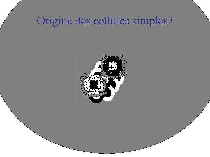 Origine des cellules simples? 