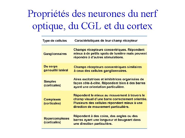 Propriétés des neurones du nerf optique, du CGL et du cortex 