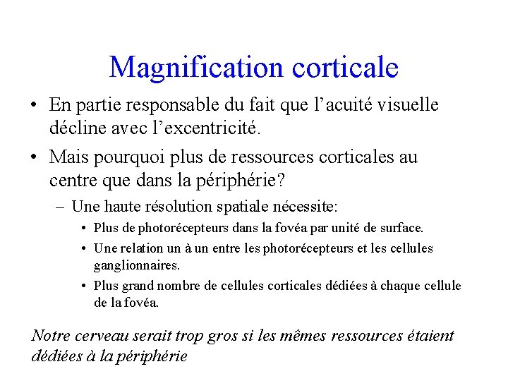 Magnification corticale • En partie responsable du fait que l’acuité visuelle décline avec l’excentricité.
