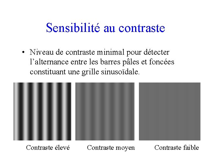 Sensibilité au contraste • Niveau de contraste minimal pour détecter l’alternance entre les barres