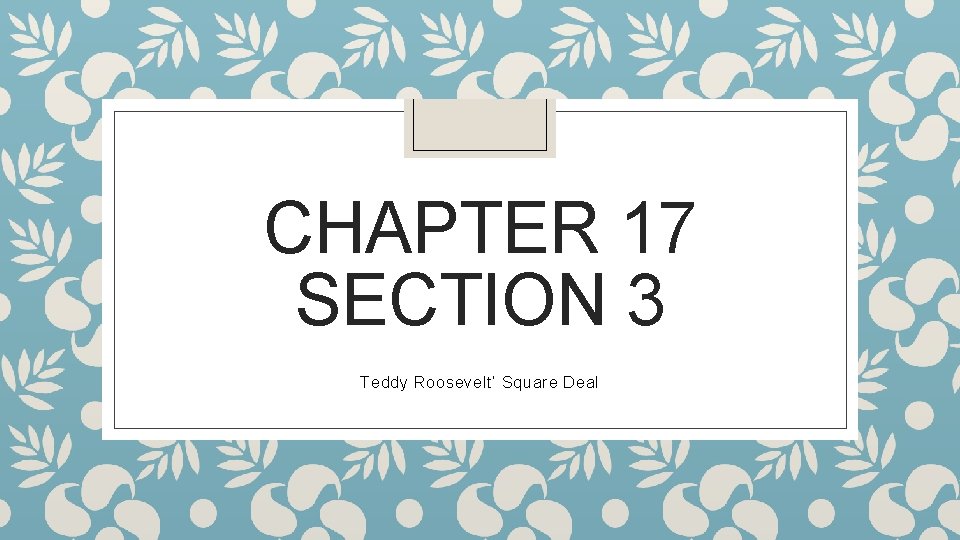 CHAPTER 17 SECTION 3 Teddy Roosevelt’ Square Deal 