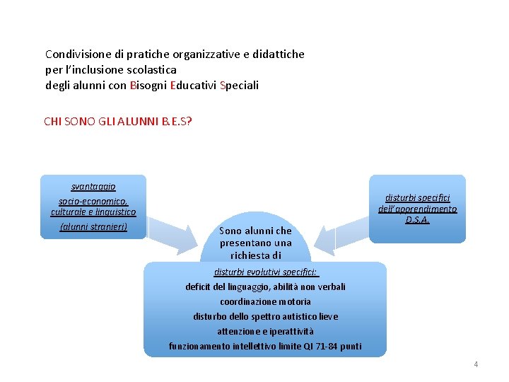 Condivisione di pratiche organizzative e didattiche per l’inclusione scolastica degli alunni con Bisogni Educativi