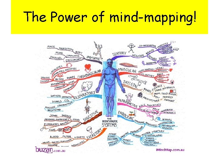 The Power of mind-mapping! 