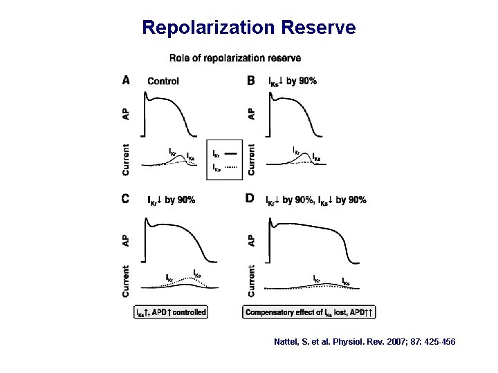 Repolarization Reserve Nattel, S. et al. Physiol. Rev. 2007; 87: 425 -456 