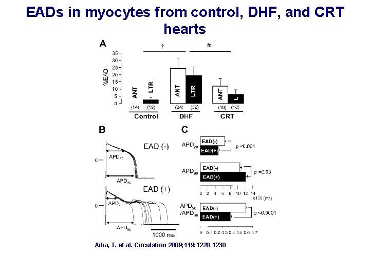 EADs in myocytes from control, DHF, and CRT hearts Aiba, T. et al. Circulation