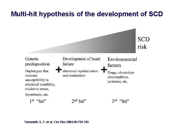 Multi-hit hypothesis of the development of SCD Tomaselli, G. F. et al. Circ Res