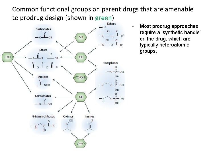 Common functional groups on parent drugs that are amenable to prodrug design (shown in