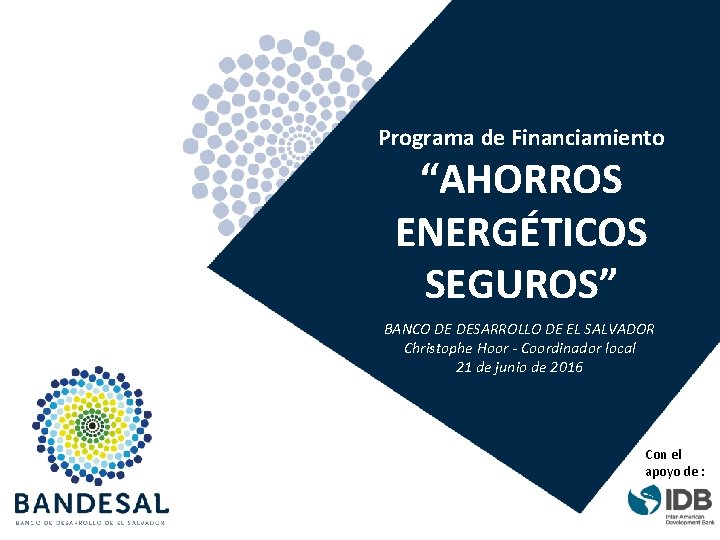 Programa de Financiamiento “AHORROS ENERGÉTICOS SEGUROS” BANCO DE DESARROLLO DE EL SALVADOR Christophe Hoor