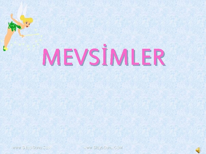 MEVSİMLER www. Slayt-Sunu. Co. M 