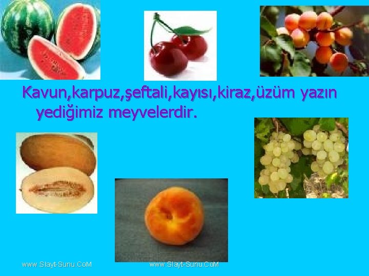 Kavun, karpuz, şeftali, kayısı, kiraz, üzüm yazın yediğimiz meyvelerdir. www. Slayt-Sunu. Co. M 