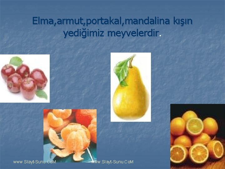 Elma, armut, portakal, mandalina kışın yediğimiz meyvelerdir. www. Slayt-Sunu. Co. M 