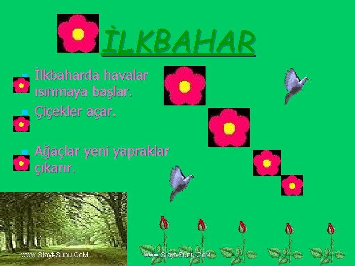 İLKBAHAR n n n İlkbaharda havalar ısınmaya başlar. Çiçekler açar. Ağaçlar yeni yapraklar çıkarır.