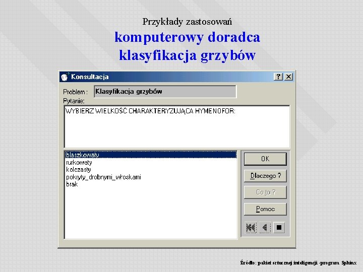 Przykłady zastosowań komputerowy doradca klasyfikacja grzybów Źródło: pakiet sztucznej inteligencji -program Sphinx 
