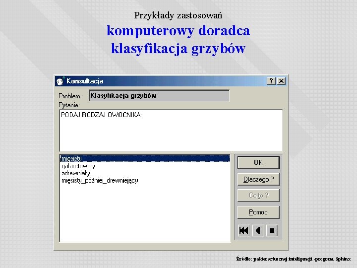 Przykłady zastosowań komputerowy doradca klasyfikacja grzybów Źródło: pakiet sztucznej inteligencji -program Sphinx 