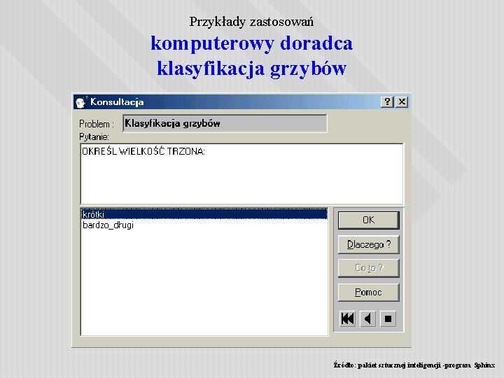 Przykłady zastosowań komputerowy doradca klasyfikacja grzybów Źródło: pakiet sztucznej inteligencji -program Sphinx 
