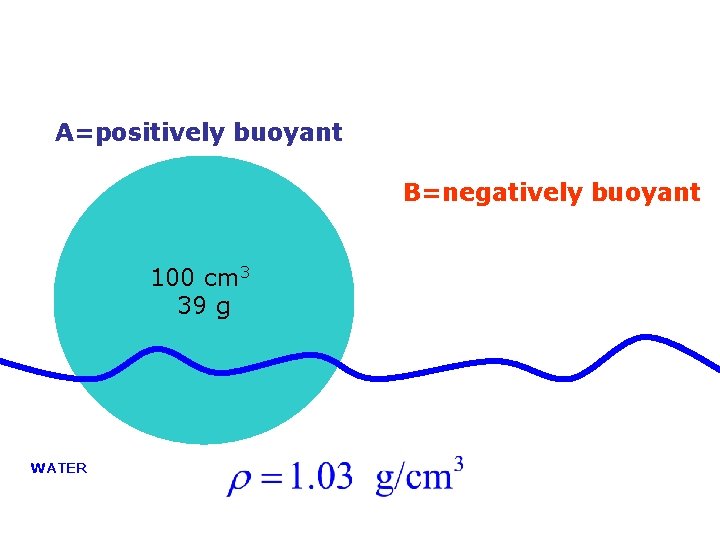 A=positively buoyant B=negatively buoyant 100 cm 3 39 g WATER 