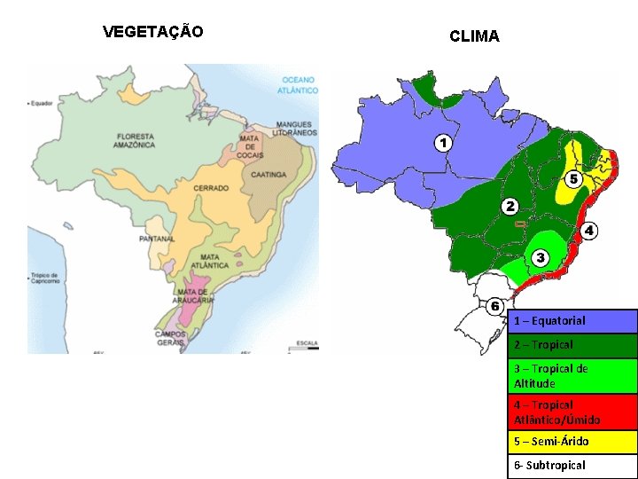VEGETAÇÃO CLIMA 1 – Equatorial 2 – Tropical 3 – Tropical de Altitude 4 VEGETAÇÃO CLIMA 1 – Equatorial 2 – Tropical 3 – Tropical de Altitude 4