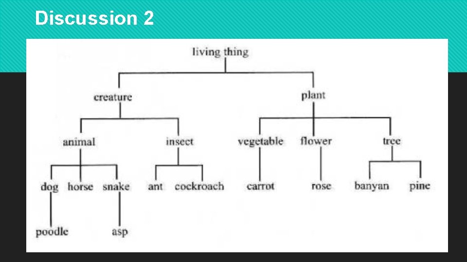 Discussion 2 