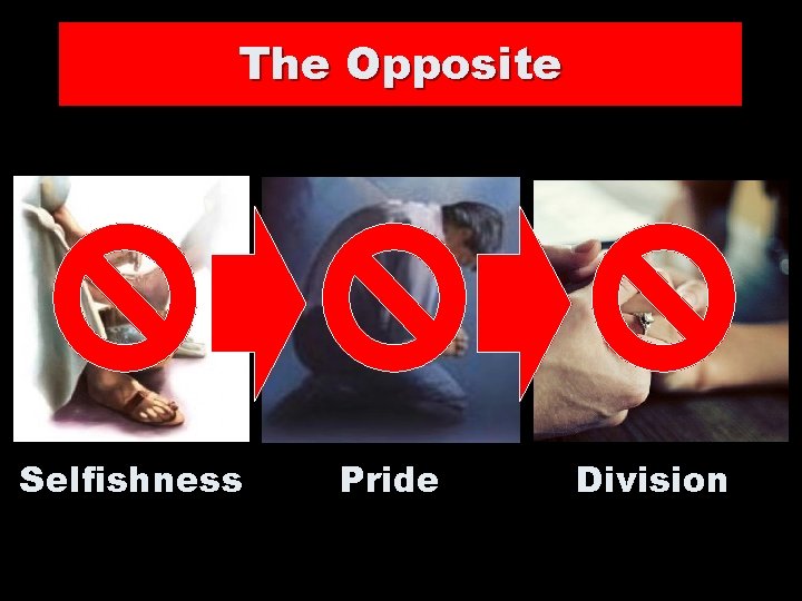The Opposite Selfishness Pride Division 