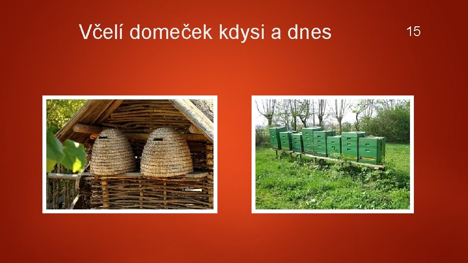 Včelí domeček kdysi a dnes 15 