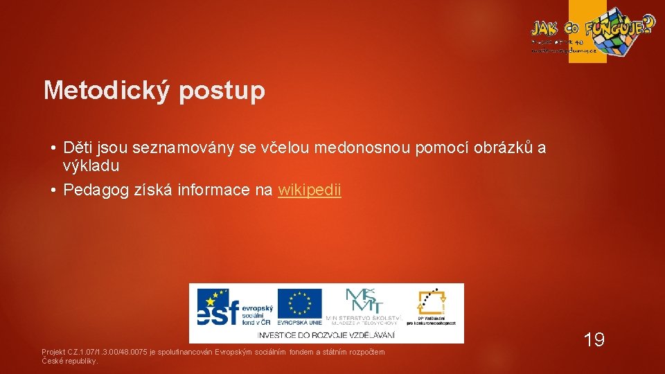 Metodický postup • Děti jsou seznamovány se včelou medonosnou pomocí obrázků a výkladu •