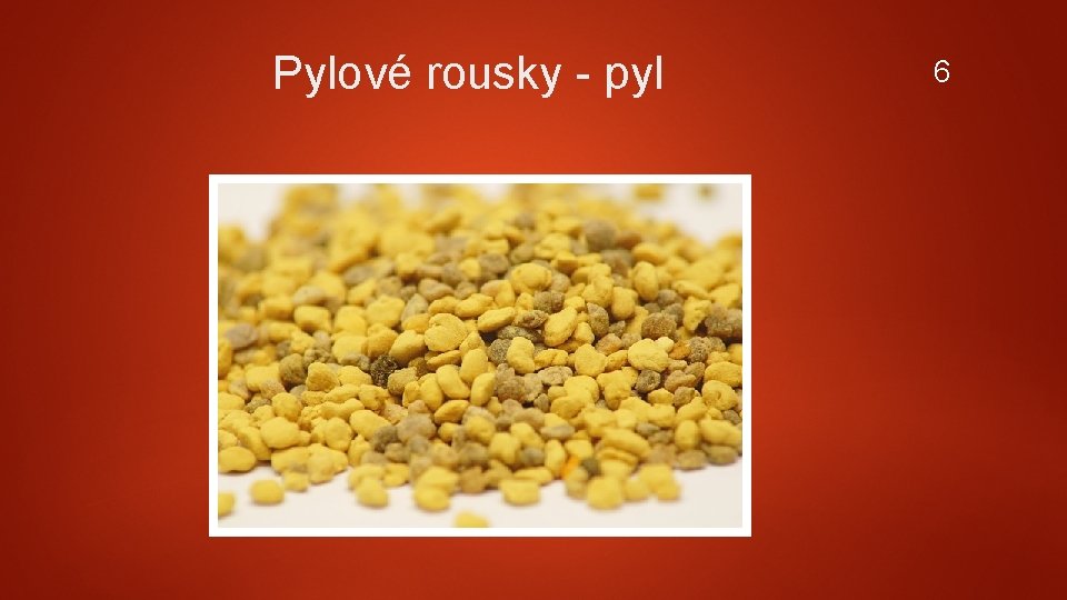 Pylové rousky - pyl 6 