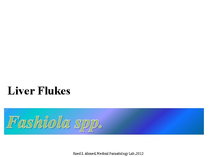 Liver Flukes Fashiola spp. Raed Z. Ahmed, Medical Parasitology Lab. , 2012 Liver Flukes Fashiola spp. Raed Z. Ahmed, Medical Parasitology Lab. , 2012