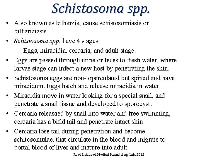 Schistosoma spp. • Also known as bilharzia, cause schistosomiasis or bilhariziasis. • Schistosoma spp. Schistosoma spp. • Also known as bilharzia, cause schistosomiasis or bilhariziasis. • Schistosoma spp.