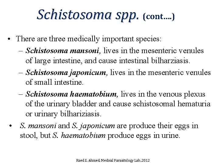 Schistosoma spp. (cont…. ) • There are three medically important species: – Schistosoma mansoni, Schistosoma spp. (cont…. ) • There are three medically important species: – Schistosoma mansoni,
