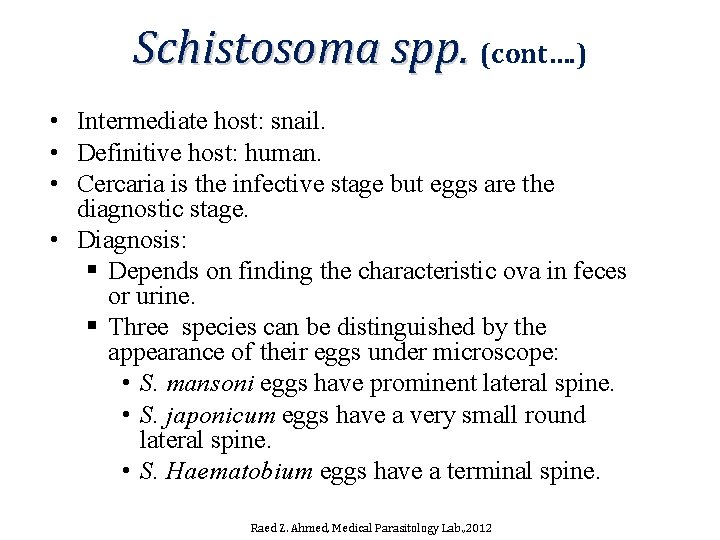 Schistosoma spp. (cont…. ) • Intermediate host: snail. • Definitive host: human. • Cercaria Schistosoma spp. (cont…. ) • Intermediate host: snail. • Definitive host: human. • Cercaria